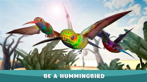 hummingbird zoe game - hummingbird khloe